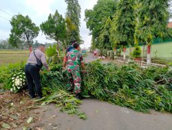 Babinsa Bersama Warga Melaksanakan Gotong Royong Bersihkan Ranting Pohon Kanan Kiri Jalan