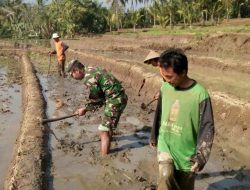 Babinsa Koramil 0810/05 Sawahan Serda Suyadi Melakukan Pendampingan Kepada Petani
