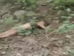 Lansia Perempuan Ditemukan di Hutan Rejoso, Keluarga: Korban Pikun Menghilang Selama 10 Hari