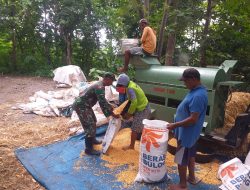 Dekat Dengan Warganya, Babinsa Koramil 0810/20 Ngluyu Bantu Perontokan Panen Jagung