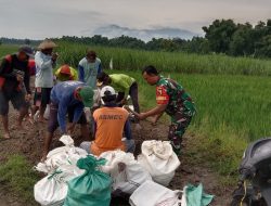 Babinsa Bersama Masyarakat Karya Bakti Pengurukan Jalan Usaha Tani