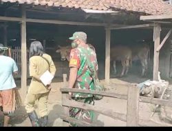 Polres Nganjuk Apresiasi Sinergi dalam Penanganan PMK di Desa Senggowar