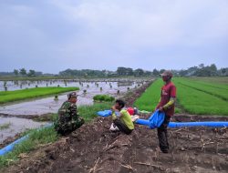 Babinsa Koramil 0810/08 Baron Beri Motivasi Petani Tingkatkan Pengelolaan Lahan