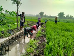 Karya Bhakti Sarana Mempererat Guyup Rukun Babinsa Koramil 0810/02 Bersama Desa Binaan