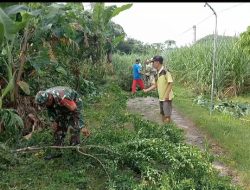 Babinsa Koramil 0810/03 Melaksanakan Kegiatan Kerja Bakti Bersihkan Ranting Dan Pohon