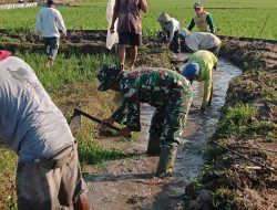 Dukung Kebutuhan Air Babinsa Koramil 0810/15 Rejoso Normalisasi Saluran Irigasi Sawah