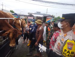 Polisi dengan Disperta Kunjungi Pasar Hewan Kecamatan Bagor, Antisipasi Penyebaran PMK