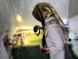 PKK Gencarkan Penyuluhan Jentik Nyamuk untuk Cegah DBD