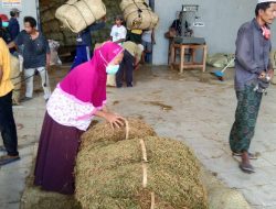 Petani Tembakau dan Masyarakat Dukung Keberadaan Pengusaha Rokok Lokal