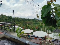Rekomendasi Wisata Kuliner Nggon, Dekat Dengan Alam Lokasi di Sawahan Nganjuk