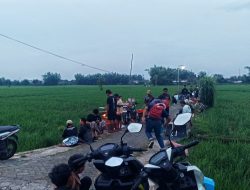 Dari Sawah Biasa Jadi Tempat Ngopi Hits, Destinasi Favorit Anak Muda dengan View Sunset