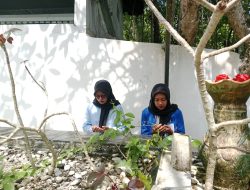 Asal Usul Gunung Lembu, Jugugan Wisatawan Religi di Pacitan