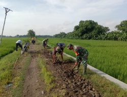 Kerja Bhakti || Babinsa Koramil 0810/15 Rejoso Bersama Petani Perbaiki Jalan Sawah