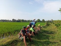 Komsos Babinsa Koramil 0810/08 Baron Ajak Petani Tingkatkan Kualitas Tanaman Padi