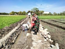Pembangunan Saluran Irigasi Area Pertanian Tingkatkan Hasil Pertanian Sukseskan Program Swasembada Pangan Nasional