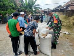 Babinsa Koramil 0810/15 Rejoso Dampingi Bulog Kancab Kediri Serap Gabah Petani secara langsung