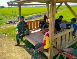 Babinsa Koramil 0810/15 Rejoso Pastikan Bulog Akan Terima Gabah Petani