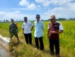 Babinsa Bersama Petugas Dinas Pertanian Tinjau Saluran Irigasi Untuk Mendukung Swasembada Pangan