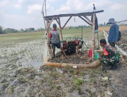 Babinsa Koramil 0810/13 Lengkong Bersama PPL Berikan Sosialisasi Kepada Petani Desa Sumberkepuh 