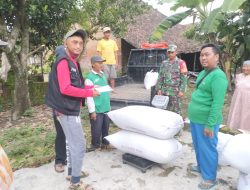 Babinsa Koramil 0810/11 Prambon Dukung Bulog Serap Gabah Petani Di Desa Sonoageng Kec. Prambon.