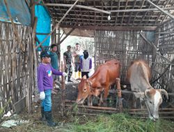Babinsa Koramil 0810/01 Nganjuk Aktif Mendampingi Giat Vaksin Satgas PMK Kec. Nganjuk