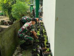 Anggota Koramil 0810/19 Jatikalen Tanam Cabai Manfaatkan Lahan Sempit Pekarangan Makoramil 