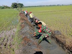 Babinsa Koramil 14/Gondang Terjun Langsung Gotong Royong Bersihkan Saluran Air Untuk Irigasi Persawahan