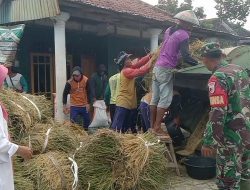 Petani Panen Babinsa Koramil 0810/09 Ngronggot Dampingi Hingga Gabah Tersap Bulog