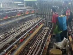 Babinsa Koramil 0810/01 Nganjuk Aktif Komunikasi Sosial Dengan Peternak Ayam