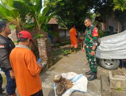 Babinsa Koramil 0810/07 Patianrowo bersama Damkar Nganjuk Evakuasi Sarang Tawon Yang Meresahkan Warga.