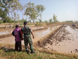 Babinsa Koramil Ngetos Dampingi Petani dalam Pengolahan Tanah Sawah Mojoduwur