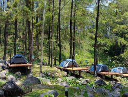 Jangan Tersesat! Ini Jam Buka Jolotundo Glamping & Edu Park Lengkap Rute Dari Alun-alun Nganjuk