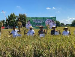 Panen Raya Padi Serentak di 14 Provinsi, Kasdim Nganjuk dan Forkompinda Ikuti Vicon Bersama Presiden RI