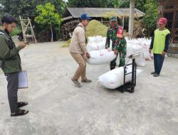 Babinsa Dukung Program Sergab Guna Wujudkan Swasembada Pangan Nasional