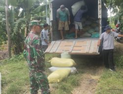 Babinsa Tirtobinangun Koramil Patianrowo Bersama PPL Laksanakan Pendampingan Sergap Bulog Nganjuk