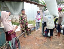 Jaga Stabilitas Harga Gabah, Babinsa Mojoduwur Laksanakan Pendampingan Serapan Gabah