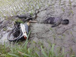 Pengendara Motor di Nganjuk Mengalami Luka-luka Setelah Kecelakaan Masuk Sawah, Begini Kronologisnya
