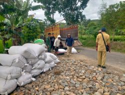 Dukung Program Serapan Gabah, Babinsa Koramil Ngluyu Pantau Dan Dampingi Panen Padi Petani