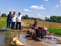 Nganjuk Panen Raya Padi, Bupati Marhaen Minta Bulog Serap Hasil Petani Sesuai Harga Presiden