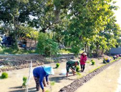 Optimalkan Potensi Curah Hujan Tinggi, Babinsa Dampingi Petani Tanam Padi Guna Wujudkan Swasembada Pangan Nasional