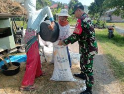 Dukung Ketahanan Pangan, Babinsa Koramil 0810/20 Ngluyu Dampingi Petani Panen Padi