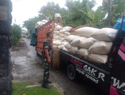 Babinsa Koramil 0810/02 Bagor Dampingi Penyerapan Gabah Petani oleh Bulog Nganjuk