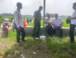 Bersama Penyuluh PPL Babinsa Koramil 0810/10 Tanjunganom Sosialisasikan Pengendalian Hama Wereng