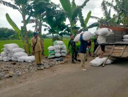 Dukung Swasembada Pangan Babinsa dan PPL Dampingi Bulog Serap Gabah dari Petani