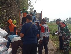Babinsa Koramil 0810/04 Berbek Kawal Bulog Beli Gabah Petani Di Wilayahnya