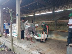 Sukseskan Program Pemerintah, Babinsa Dampingi Serapan Gabah di Desa Binaan