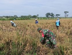 KEMANUNGGALAN TNI DAN PETANI UNTUK MENINGKATKAN KETAHANAN PANGAN DI MASYARAKAT