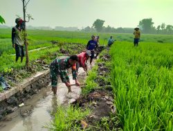 Karya Bhakti Guyup Rukun Babinsa Koramil 0810/02 Bersama Warga Bersihkan Aliran Irigasi