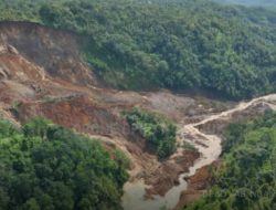Longsor di Ngetos Puluhan Hektar Lahan Pertanian Rusak dan Terancam Gagal Panen