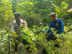 Polsek Nganjuk Kota Dukung Ketahanan Pangan Lewat Pemanfaatan Lahan Perkarangan